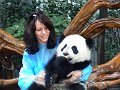 Pandas (008)